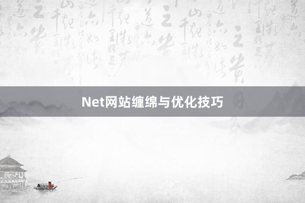 Net网站缠绵与优化技巧