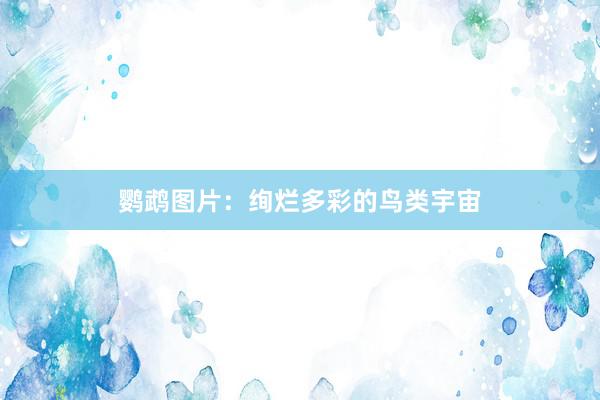 鹦鹉图片：绚烂多彩的鸟类宇宙